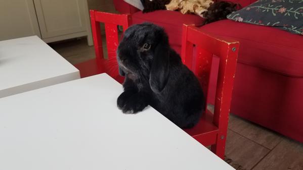 Sebastian sitting at the kid table